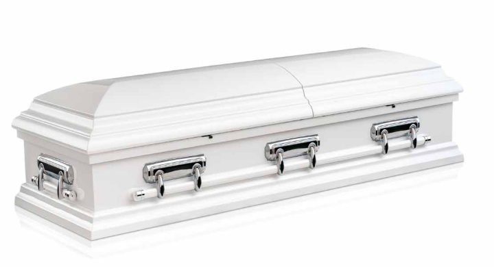Guardian coffin